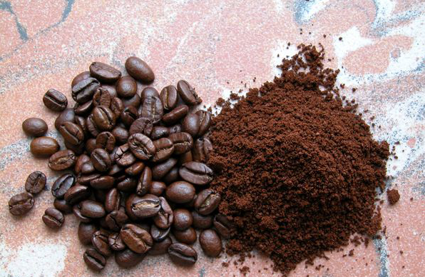 咖啡豆的選擇
