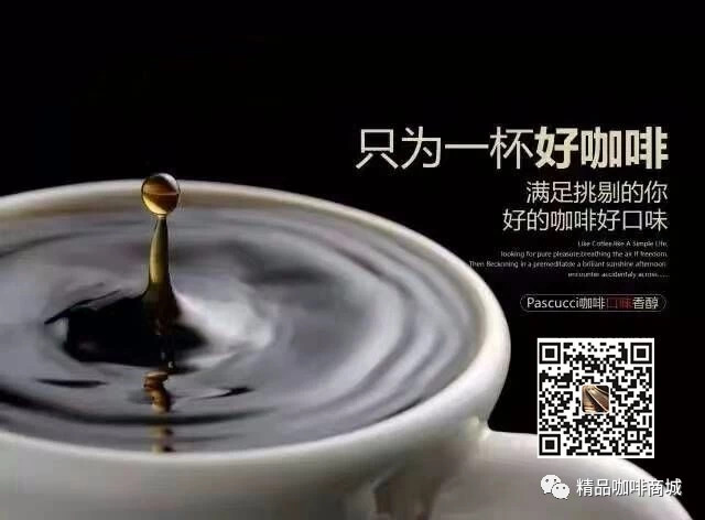 名洋咖啡公司 名洋咖啡公司