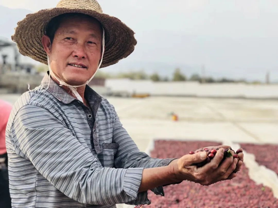 2020云南咖啡生豆大賽兩岸共33個站點即將火熱開賽！