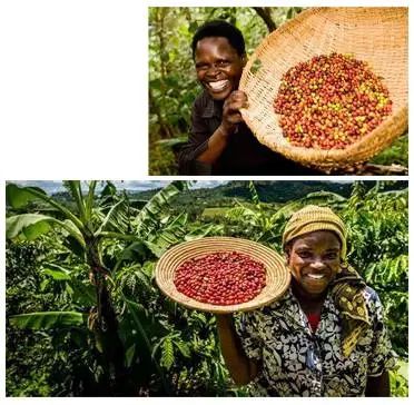 “烏干達(dá)咖啡日”首場(chǎng)活動(dòng)落地廣州 多方聯(lián)線推進(jìn)中烏咖啡行業(yè)合作 